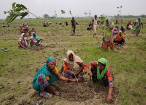 01_tree_planting_india.adapt.1900.1